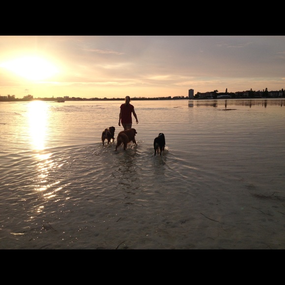 Meet the Posher - Picture 3 of 8